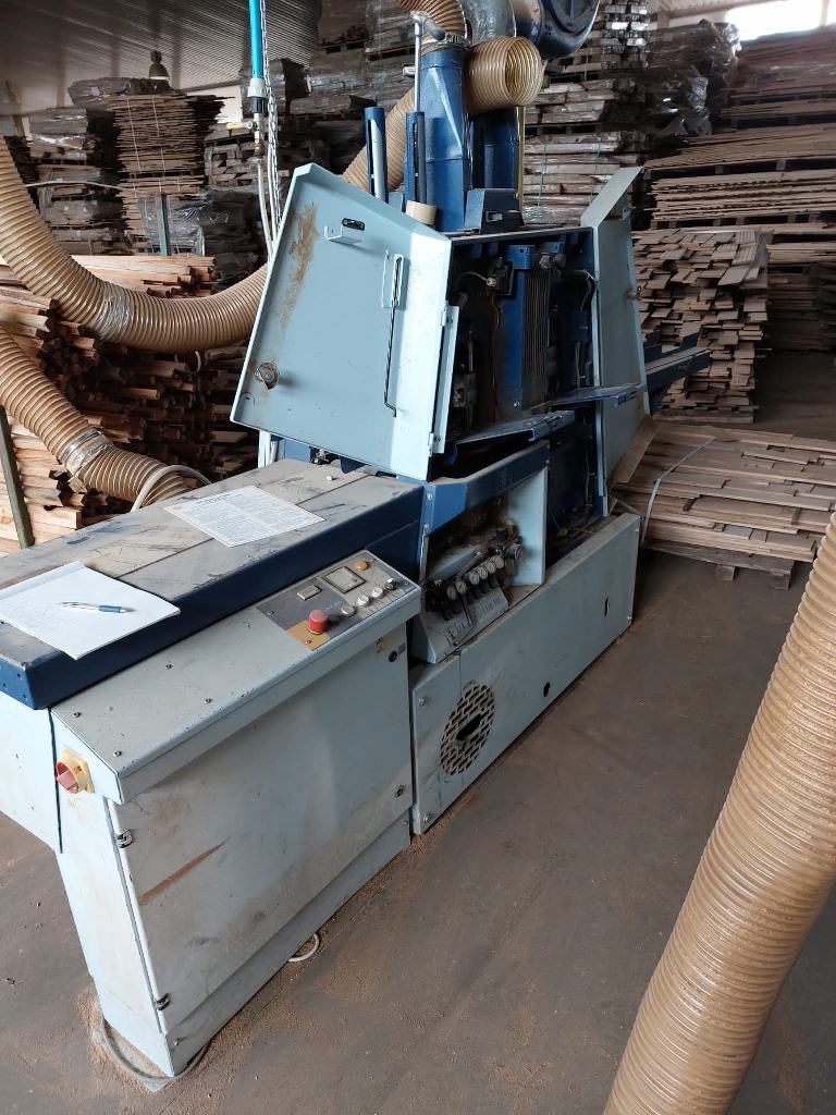 Dünnschnittgatter Wintersteiger Typ DSG Eko Plus