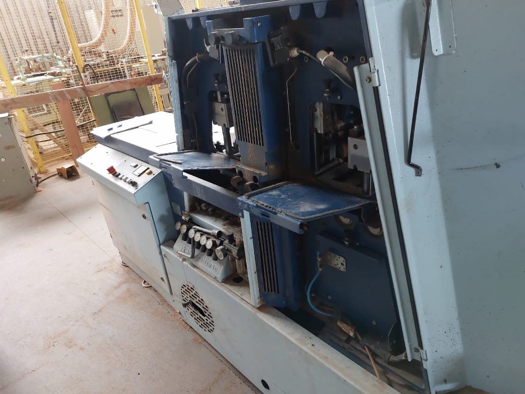 Dünnschnittgatter Wintersteiger Typ DSG Eko Plus