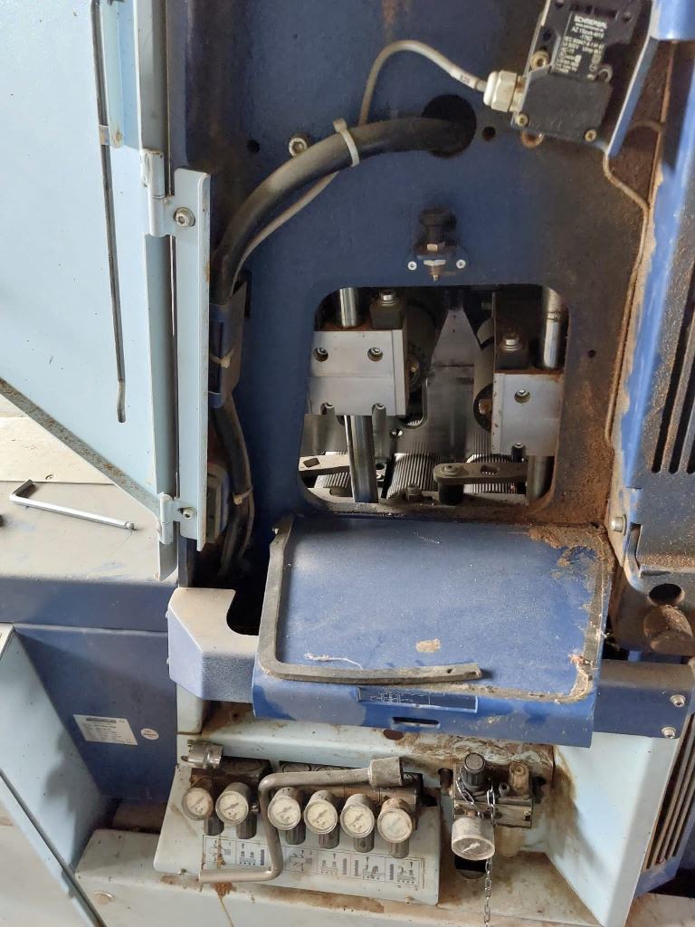 Dünnschnittgatter Wintersteiger Typ DSG Eko Plus